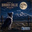 Under a Border Collie Moon